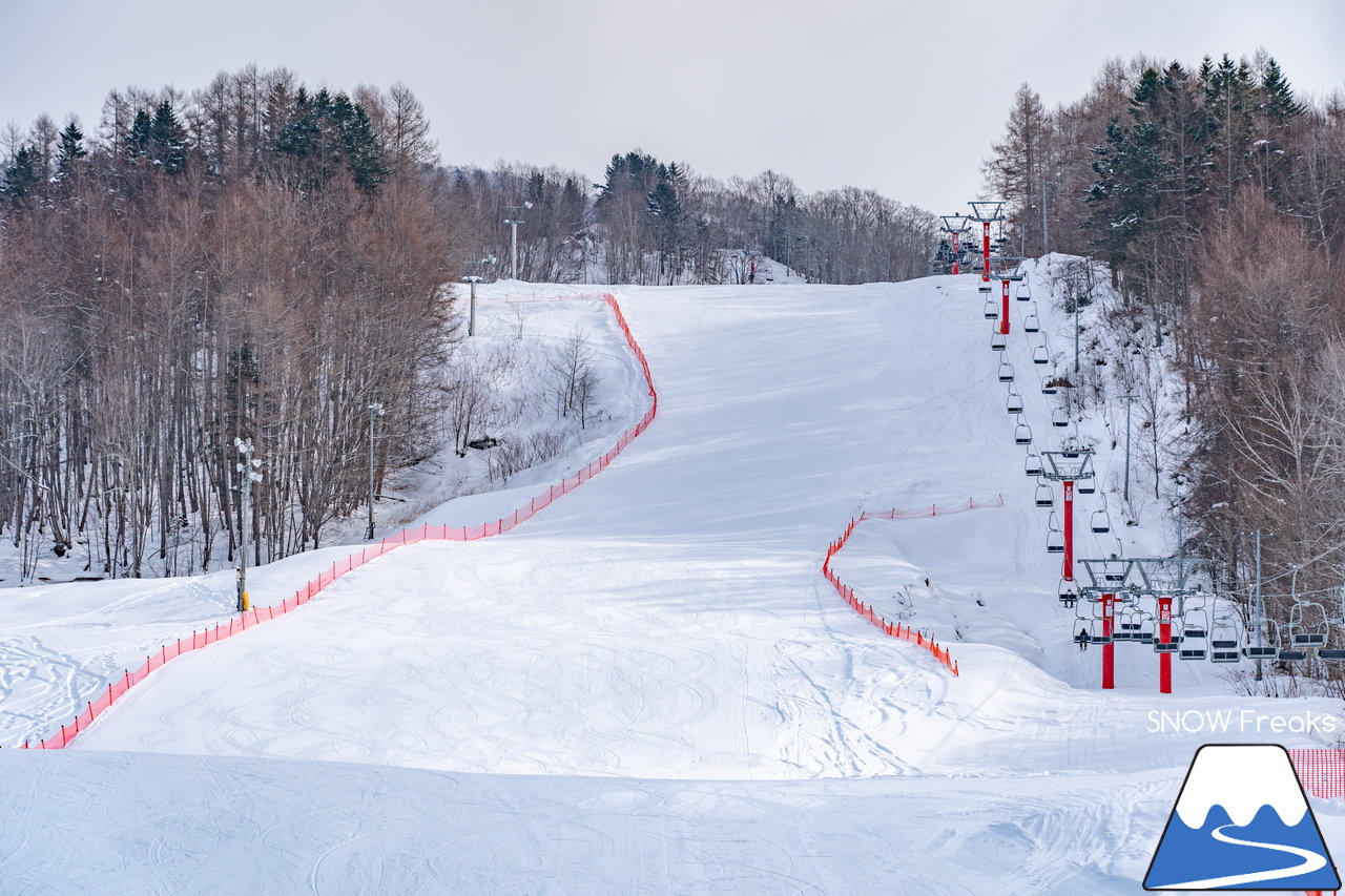 日高国際スキー場｜北海道の背骨・日高山脈を滑る！良好な雪質とロングコースが魅力のローカルゲレンデ♪